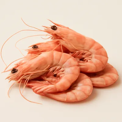 Prawns