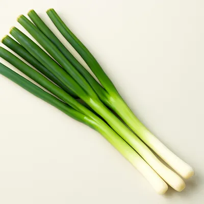 Negi