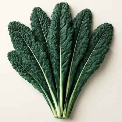 Cavolo Nero