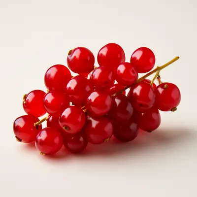 Red Currant