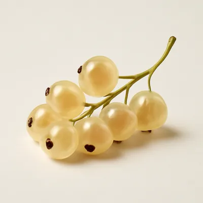 White Currant