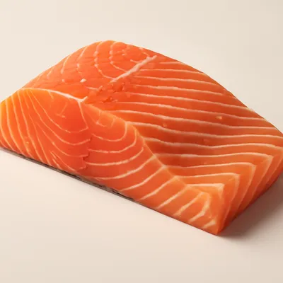 Salmon