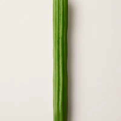 Drumstick