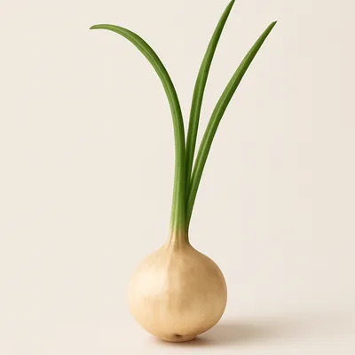Desert Onion