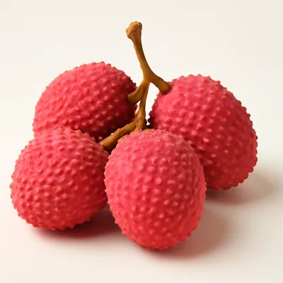Litchi