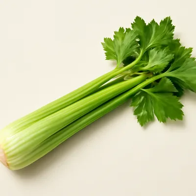 Celery