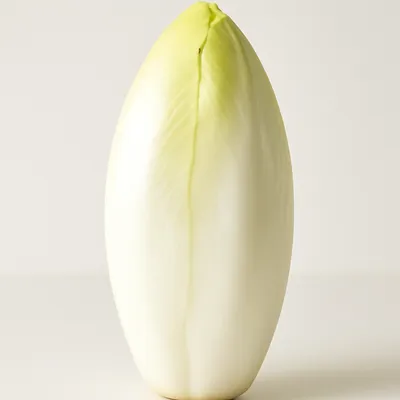 Endive