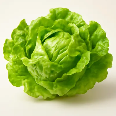 Lettuce