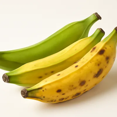 Plantain
