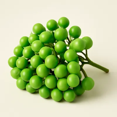 Turkey Berry