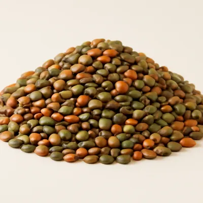 Lentils