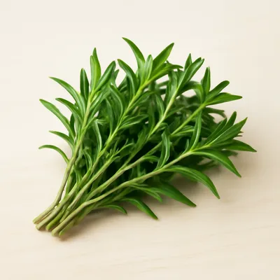 Summer savory