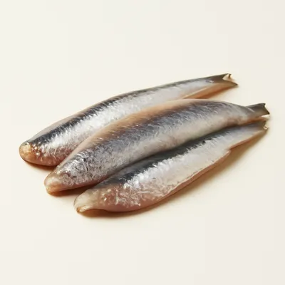 Anchovy