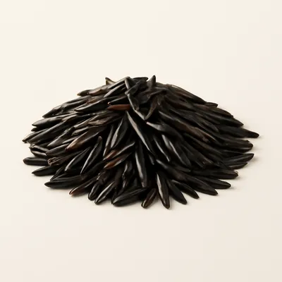 Annual wild rice