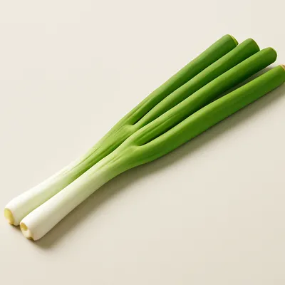 Welsh onion