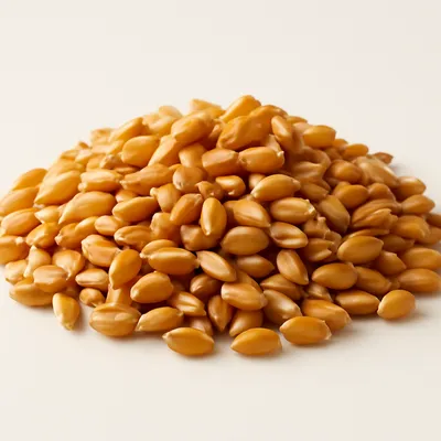 Hard wheat