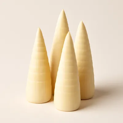 Bamboo shoots