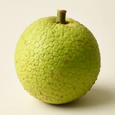 Breadfruit