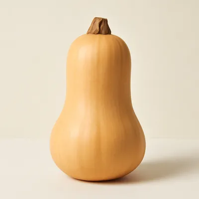 Butternut