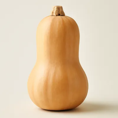 Butternut squash
