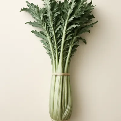 Cardoon