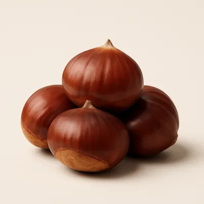 Chinese chestnut