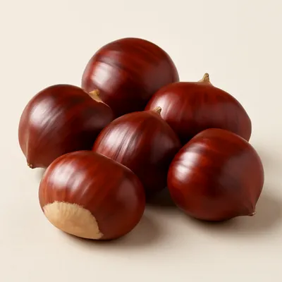 Japanese chestnut