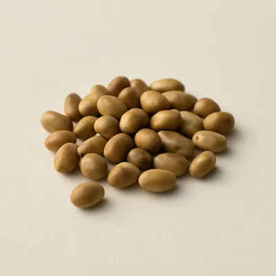 Moth bean