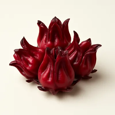 Roselle