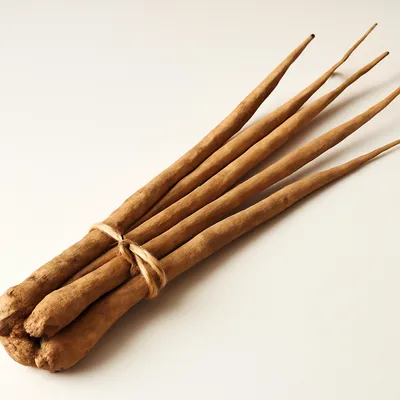 Common salsify