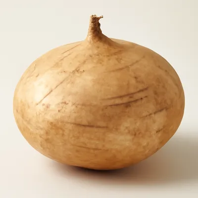 Jicama