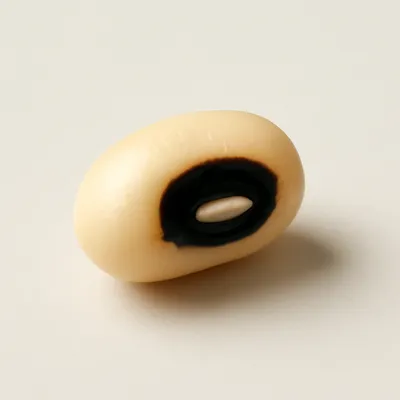 Black-eyed pea