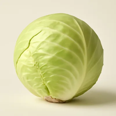 Cabbage
