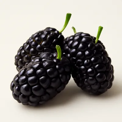 Black mulberry