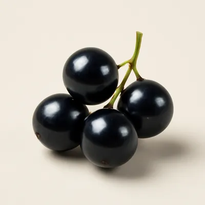 Sparkleberry