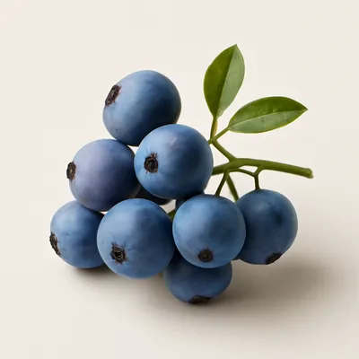 Deerberry