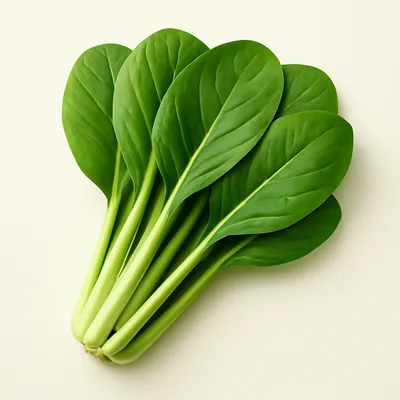 Komatsuna