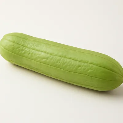 Towel gourd
