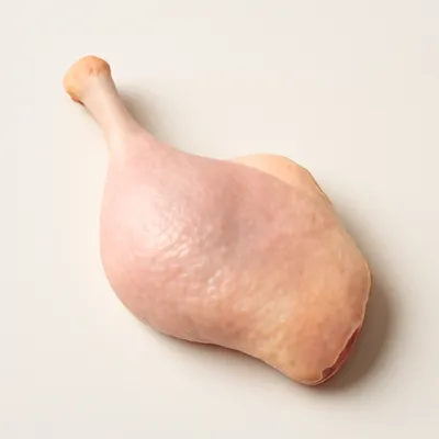 Duck Leg