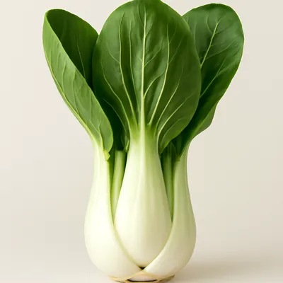 Bok Choy