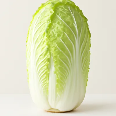 Napa Cabbage