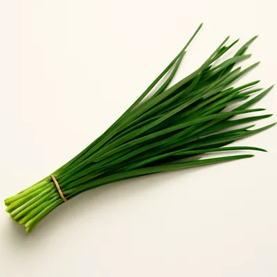 Chinese Chive
