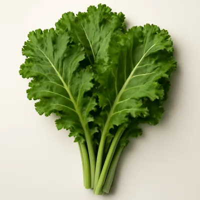 Mustard Greens